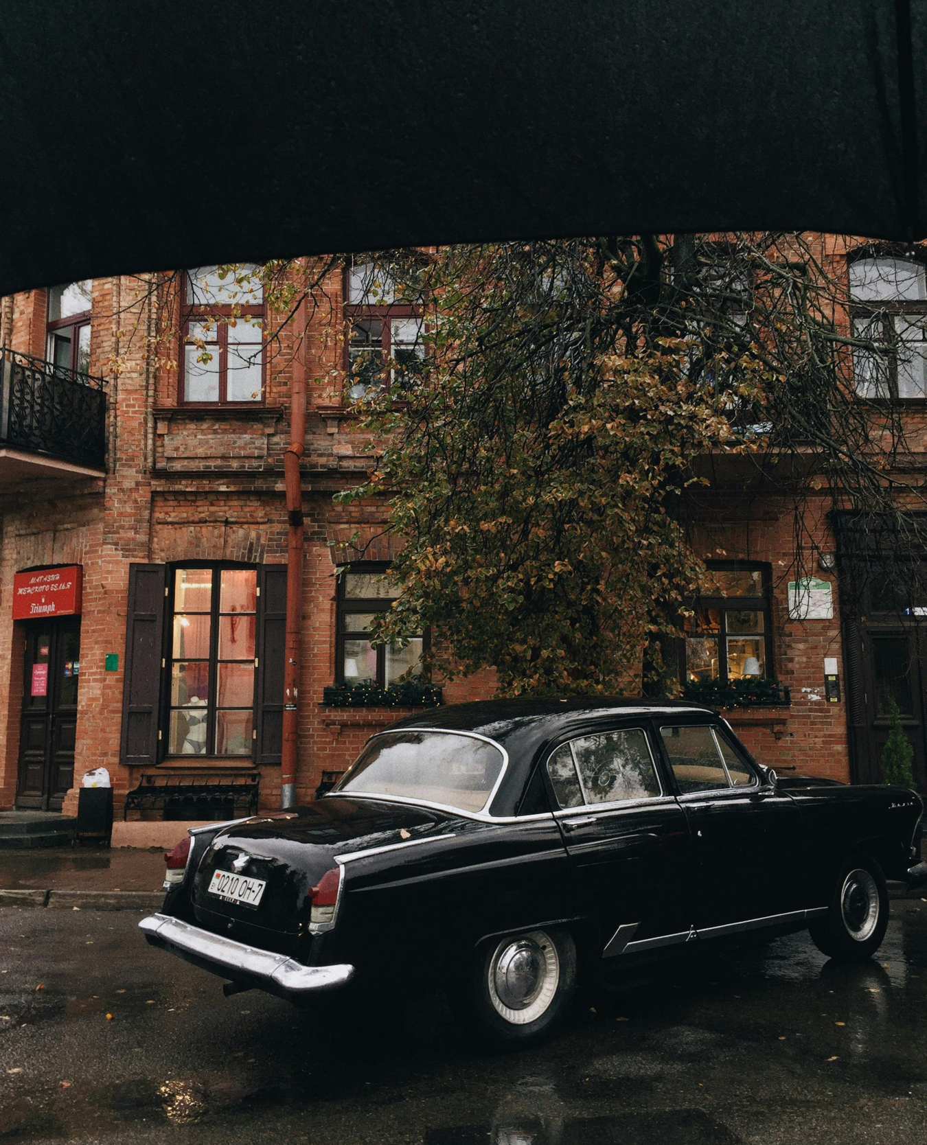 Black Sedan Parked Under Tree